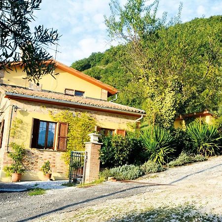 Villa Mischianti Gubbio Exterior foto